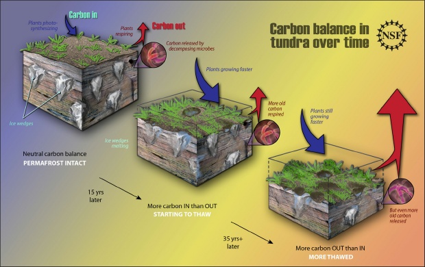 carbon release thawing permafrost arctic